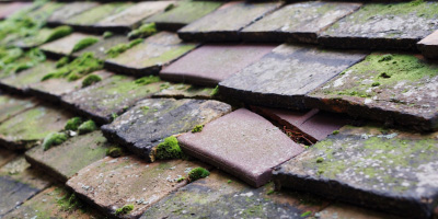 Shinfield roof repair costs